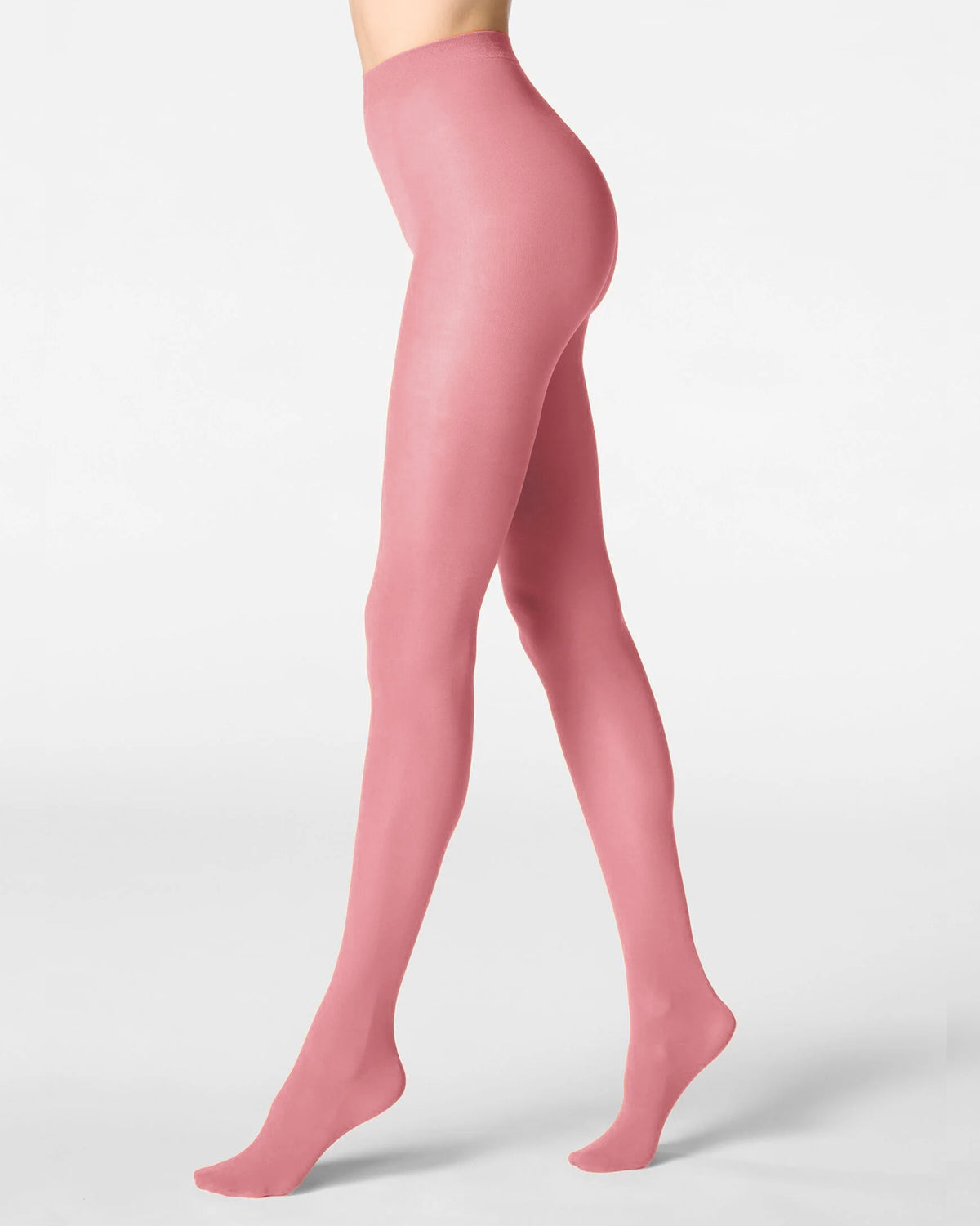 All Colors 50 Tights