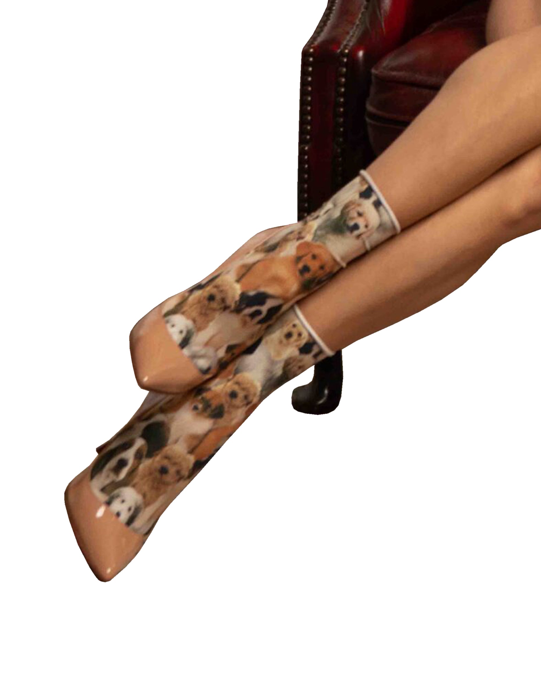 Omero Fantasy (Dog) Sock - Opaque fashion ankle socks with an all over digital print of assorted dogs in shades of beige, tan and browns.