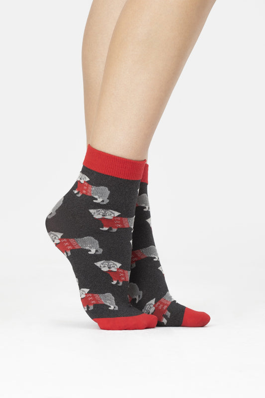 Fiore Xmas Buddy Sock - Dark grey opaque Christmas fashion ankle socks with a small cute dog wearing a Xmas jumper pattern and plain red cuff.